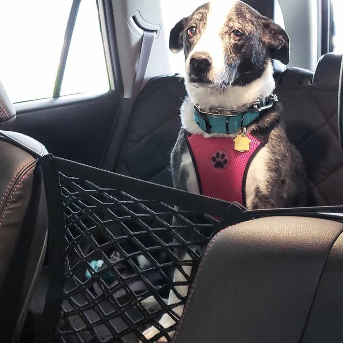 Asiento trasero para perro, va - Partition Screen Divider reseña y precio